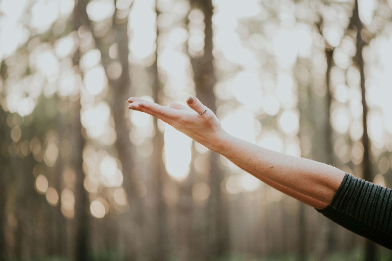Quels sont les bienfaits du cordyceps ?