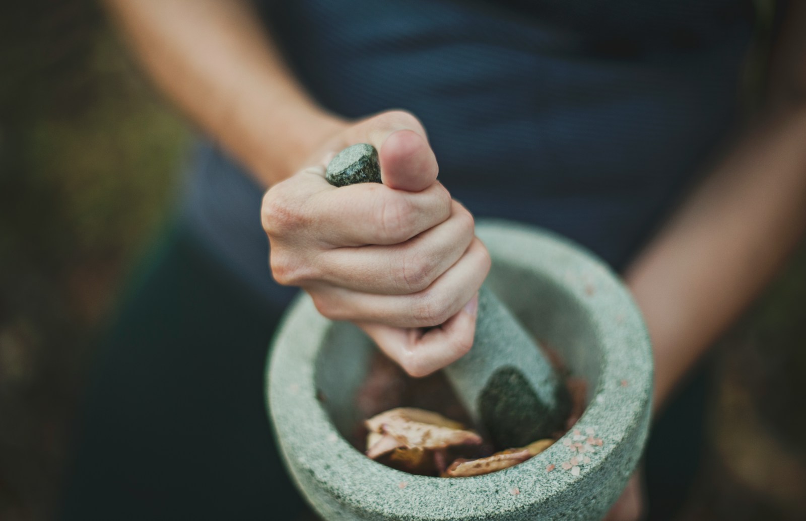 Où trouve-t-on le chaga ?