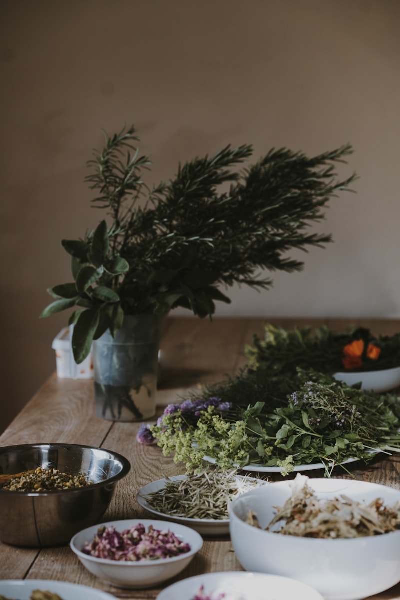 Quelle est la meilleure plante adaptogène ?