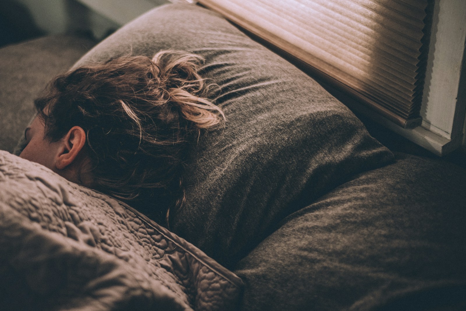Quel champignon pour dormir ?